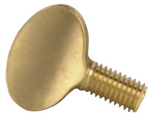 Replacement End Pin Bar Screw, brassed short